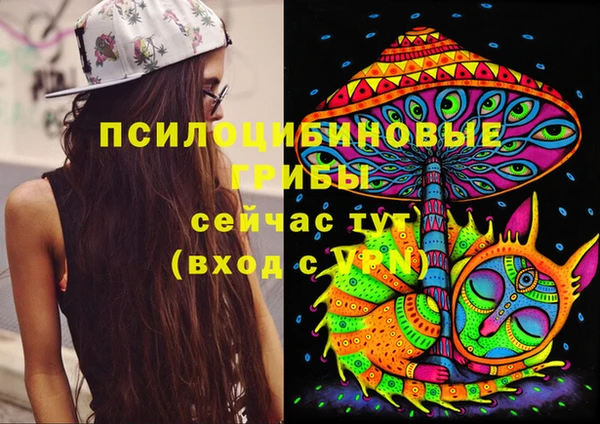трава Пересвет