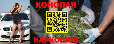 стафф Балаково