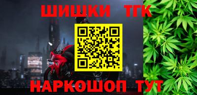 шишки Бийск