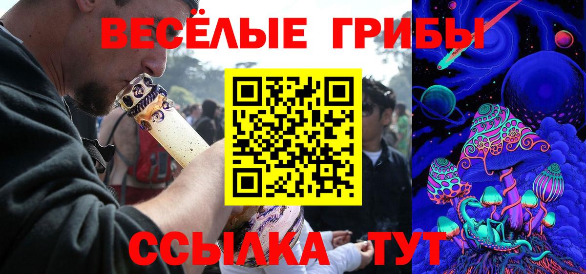 Псилоцибиновые грибы ЛСД  Большой Камень  Псилоцибиновые грибы Psilocybe 