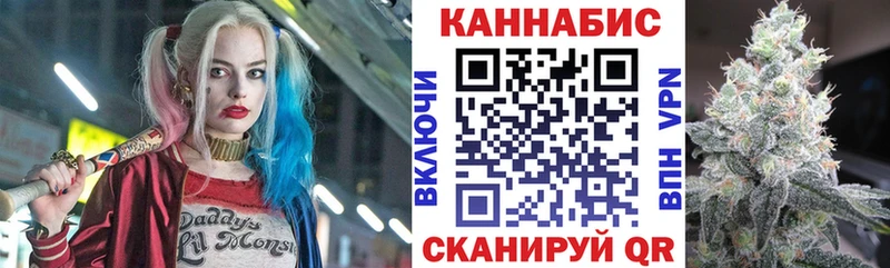 Марихуана гибрид Большой Камень